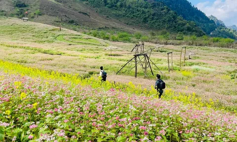 Phát triển du lịch ở Vân Hồ