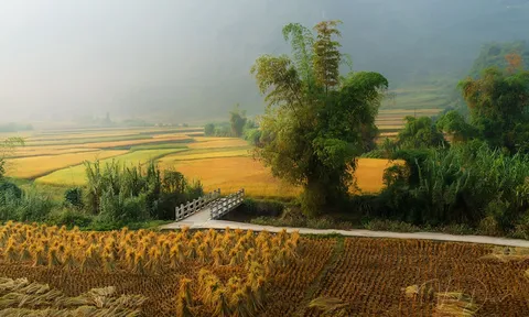 Triển lãm "Đặc trưng văn hóa các dân tộc vùng Tây Bắc"