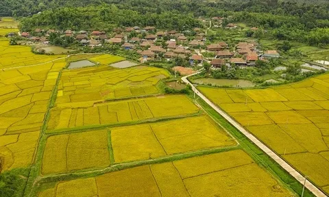Bản văn hóa du lịch Che Căn - Điểm du lịch cộng đồng hấp dẫn ở Mường Phăng