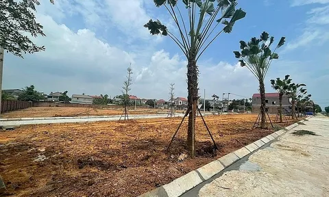 Lâm Thao (Phú Thọ): Xuất hiện dự án “ma” Diên Hồng Riverside?