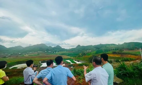 Sơn La: Kiểm tra đột xuất Dự án mở rộng quy mô Trung tâm Giống bò sữa Mộc Châu