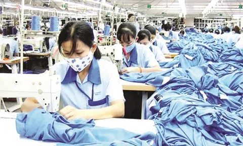 Gói 6,6 nghìn tỷ đồng hỗ trợ tiền thuê nhà cho công nhân: Vì sao Phú Thọ chưa giải ngân?