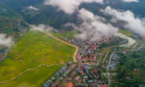 Mùa vàng ở Mường Khương – dải lụa vàng giữa đại ngàn Tây Bắc