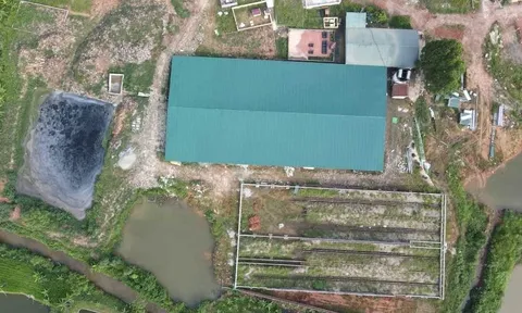 Lâm Thao (Phú Thọ): Xây dựng trang trại trái phép quy mô lớn, trách nhiệm thuộc về ai?
