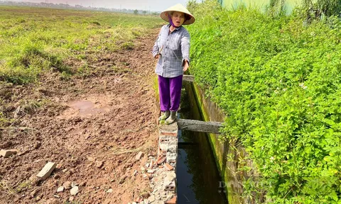 Kênh thủy lợi Hồng Đà ở huyện Tam Nông bị phá hủy: UBND tỉnh Phú Thọ chỉ đạo xử lý, huyện chưa nghe?!