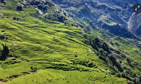 Mùa vàng Tây Bắc nhìn từ trên cao
