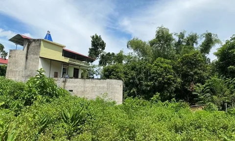 Việt Trì (Phú Thọ): Có hay không việc Chủ tịch UBND phường làm giả hồ sơ, chữ ký để cấp đất chồng lấn cho cháu ruột?