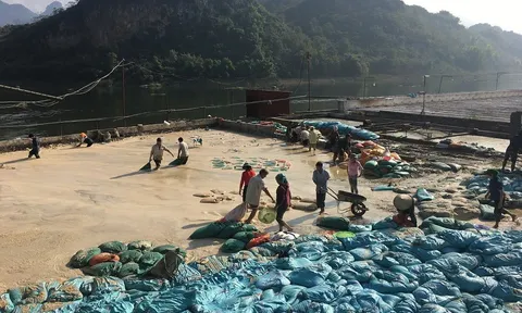 Phù Yên (Sơn La): Lập Tổ thẩm định, kiểm tra cấp Giấy phép môi trường các dự án đầu tư