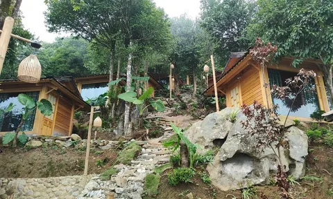 Chủ tịch huyện Bắc Yên (Sơn La) muốn biểu dương cái sai, cấp dưới thì 'đánh võng' trách nhiệm!