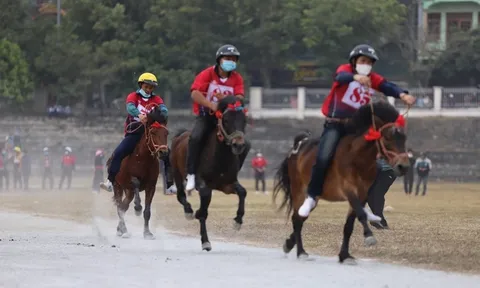 Festival Cao nguyên trắng Bắc Hà mùa thu năm 2022
