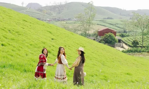 Theo chân 4 hot mom ghé thăm "đồng cỏ Windows" ở Mộc Châu