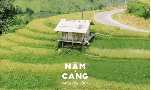 Thung lũng Nậm Cang - địa điểm ít ai để ý ở Sa Pa: Không những đẹp mà còn rất trong trẻo, yên lành