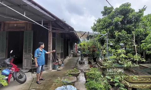 Điện Biên: Vừa thoát dự án treo gần 20 năm, lại "tròng" thêm dự án mới