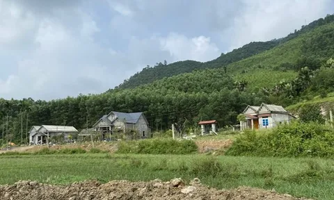 Công an vào cuộc vụ đất nông nghiệp bị san lấp trái phép
