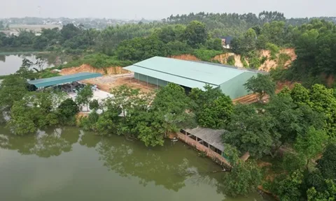 Cố tình xây công trình “khủng” trên đất rừng sản xuất