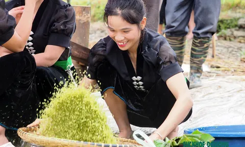 Dẻo thơm cốm Tú Lệ - Tinh hoa của núi rừng Tây Bắc