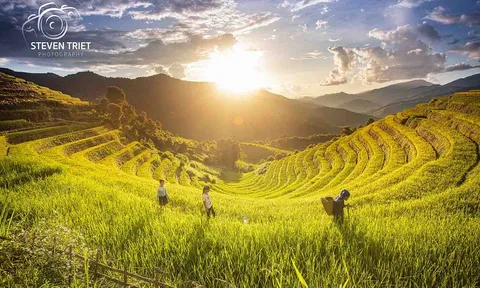 Vất vả ‘săn ảnh’ Lao Chải, điểm ngắm lúa vàng ấn tượng ít người biết