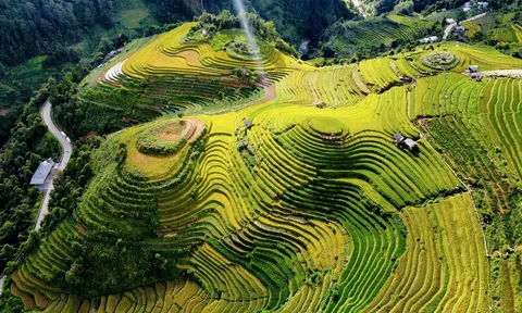 Ảnh: Hàng nghìn người đổ về Mù Căng Chải ngắm mùa vàng chảy tràn trên triền núi