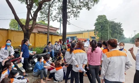 Phú Thọ: Giảm thời gian nghỉ ngơi, bữa ăn 'èo uột' hàng trăm công nhân ngừng việc