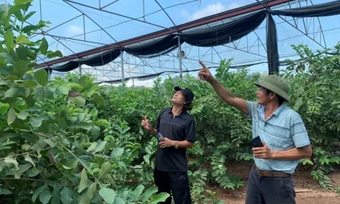 Lão nông trải lòng về "chuyển đổi số"