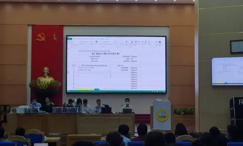Huỷ kết quả đấu giá 52 ô đất ở Phú Thọ: Lo mất trăm tỉ tiền cọc