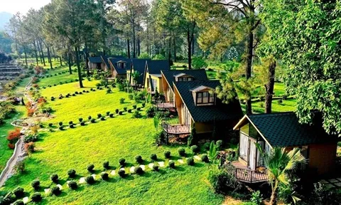 Liên kết phát triển sản phẩm du lịch mới, tour du lịch Sơn La - Hà Nội