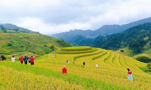 Kỳ thú ruộng bậc thang mâm xôi La Pán Tẩn