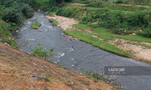 Nước thải từ các cơ sở chế biến dong riềng tiếp tục đầu độc sông Nậm Rốm