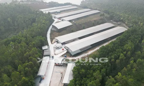 Cẩm Khê (Phú Thọ): Dự án “khủng” với hàng loạt sai phạm vẫn mặc nhiên hoạt động