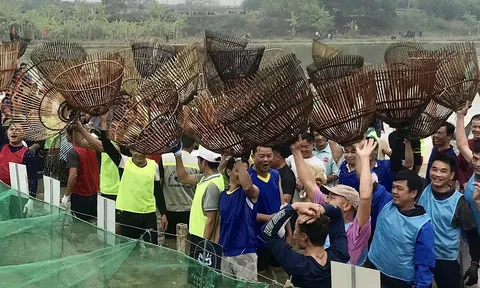 Hàng trăm "nơm thủ" tranh tài ở Lễ hội úp cá Đoan Hùng, Phú Thọ