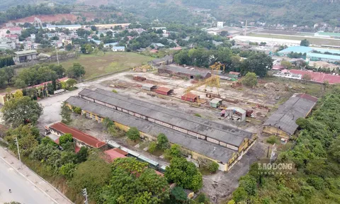 Tập đoàn Sông Đà chiếm hơn 50% tổng số nợ BHXH tỉnh Hòa Bình