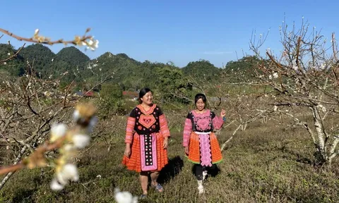 Chuyện nhà người Mông được đánh số, phát triển du lịch cộng đồng
