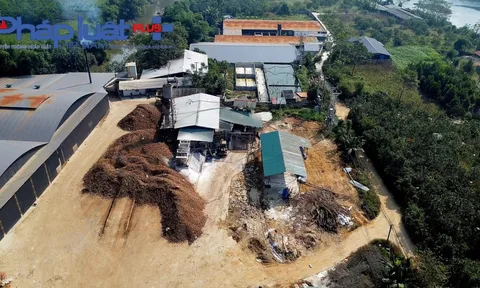 Yên Bái: Sau khi bị đoàn liên ngành "sờ gáy", xưởng chế biến tinh bột sắn vẫn không ngừng xả thải