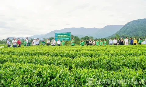 Vị thế của nông nghiệp Thái Nguyên