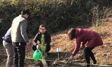 Bắc Kạn đồng loạt phát động Tết trồng cây ở các huyện, thành phố