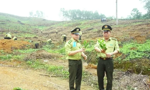 Thái Nguyên tổ chức trồng cây, trồng rừng thực chất, hiệu quả