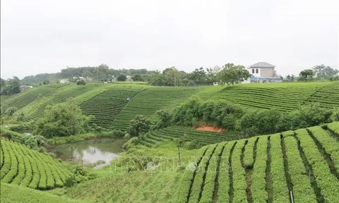 Phát triển du lịch sinh thái, hướng đi mới của Đại Từ, Thái Nguyên