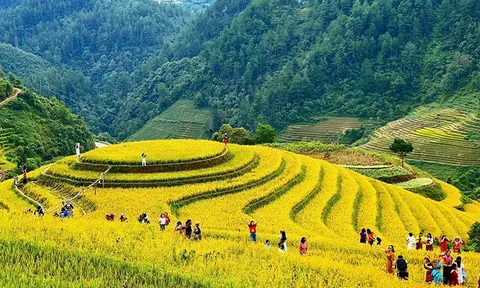 Đưa du lịch ruộng bậc thang trở thành sản phẩm đặc thù của Tây Bắc
