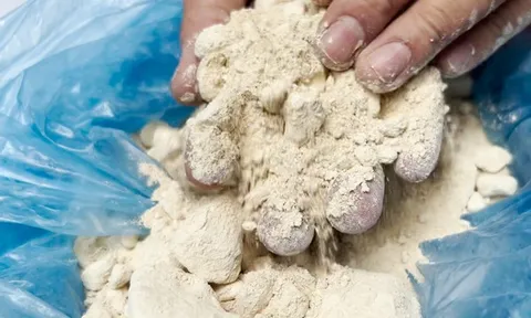 Bắt giam một giám đốc vì bán đất hiếm trái phép