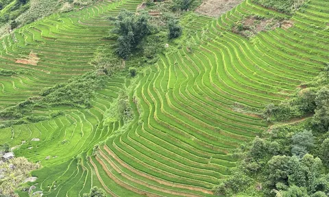 Kỷ niệm 10 năm ruộng bậc thang Sa Pa trở thành Danh thắng Quốc gia