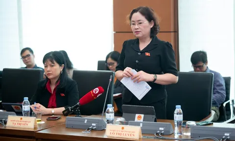 ĐBQH tỉnh tham gia ý kiến vào dự thảo Luật Bảo hiểm xã hội (sửa đổi)