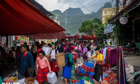 Chợ phiên Mèo Vạc: Độc lạ cảnh phụ nữ buộc dây dắt lợn, chó xuống chợ bán