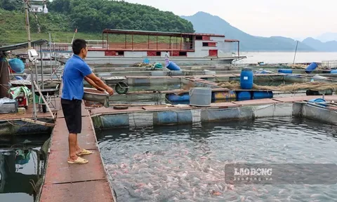 Thoát nghèo nhờ con nước Đà Giang
