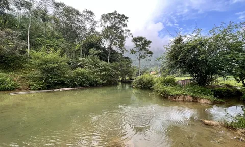 Bản làng quy ước 'bắt một con cá suối đền 20 cân thóc'