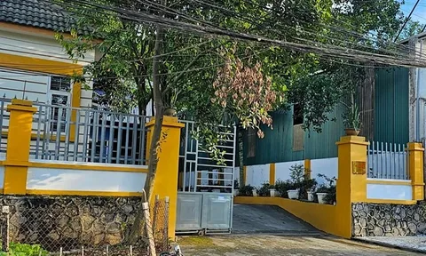 Bị cưỡng chế 14,5 tỉ tiền thuế, công ty khai thác vàng Lào Cai trả mặt bằng