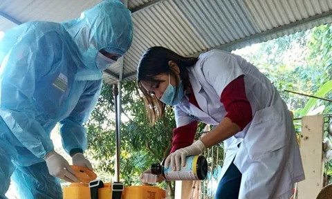 Yên Bái tăng mạnh ca sốt xuất huyết, có người tím đen toàn thân, suy hô hấp