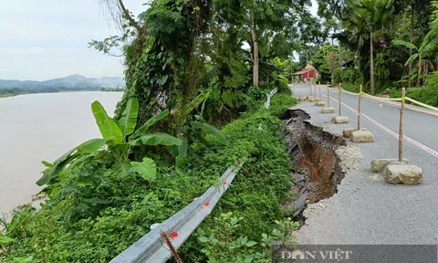Người dân Yên Bái bất an vì sông Hồng "nuốt" tỉnh lộ 166