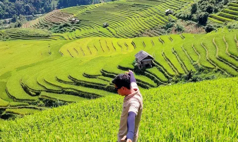 Mùa vàng Mù Cang Chải đẹp như mơ nhưng vắng khách sau bão lũ