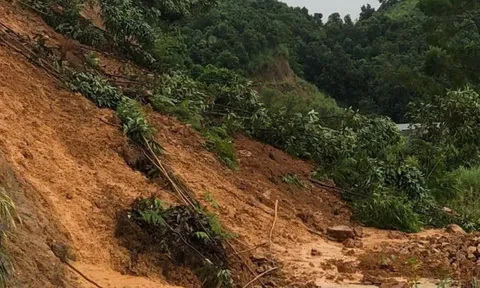 Lai Châu: Mưa lớn gây ngập úng cục bộ, sạt lở đất tại bản Pắc Pạ