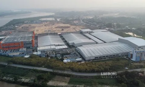 "Đại bàng" bao trọn cụm công nghiệp ở Phú Thọ